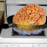 2015_05_15_fried-brain